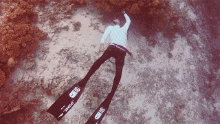 15 m&agrave;n tr&igrave;nh diễn thổi bong b&oacute;ng nghệ thuật đ&atilde; đạt tới đẳng cấp thế giới - Ảnh 23.