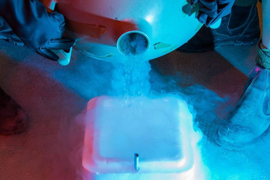 Cryogenic sperm kit, teenie little nude girls