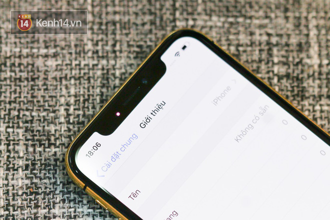 Đây là một chiếc iPhone X mạ vàng tại Việt Nam, đằng sau vẻ đẹp là sự đánh đổi - Ảnh 5.