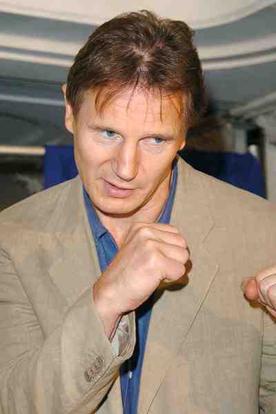 Liam Neeson - Bảo chứng phòng vé của các thể loại võ thuật cận chiến - Ảnh 2.