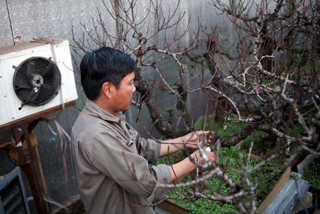 Hà Nội: Người dân lắp điều hòa, bật quạt sưởi, bọc nilon chống rét cho đào Tết - Ảnh 2.