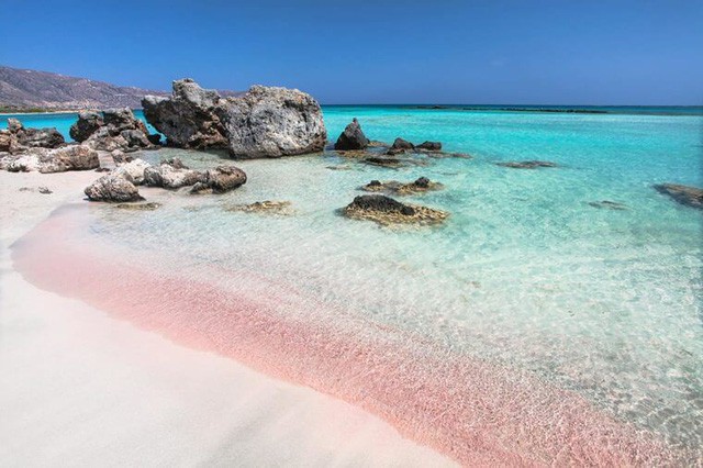 Ngắm nhìn vẻ đẹp thơ mộng của những bãi biển cát hồng đẹp nhất thế giới - Ảnh 2.