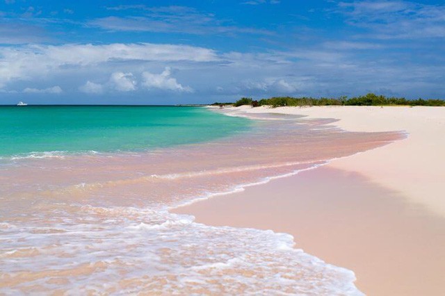 Ngắm nhìn vẻ đẹp thơ mộng của những bãi biển cát hồng đẹp nhất thế giới - Ảnh 3.