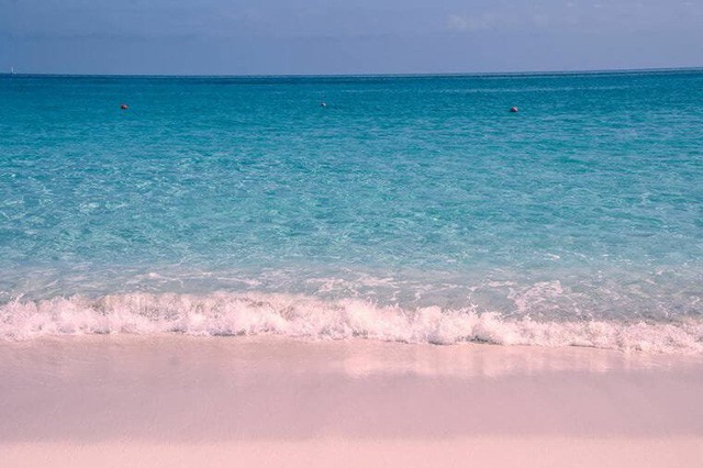 Ngắm nhìn vẻ đẹp thơ mộng của những bãi biển cát hồng đẹp nhất thế giới - Ảnh 1.