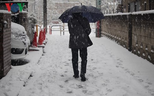 Tuyết phủ trắng Tokyo (Nhật Bản), gây tắc nghẽn giao thông - Ảnh 1.