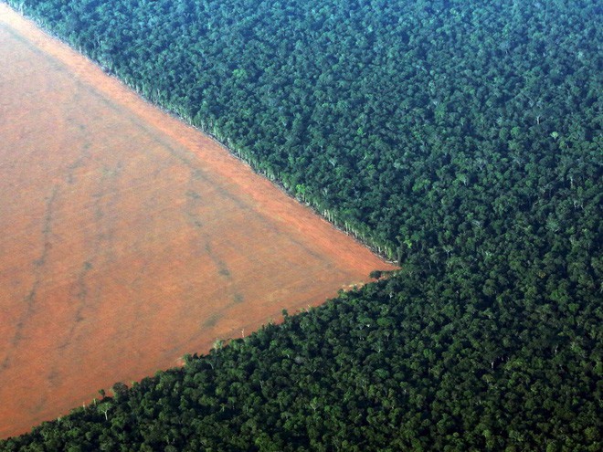24 bức ảnh cho thấy rừng Amazon từ lá phổi xanh của thế giới đã trở thành chứng tích cho sự tàn phá của con người - Ảnh 18.