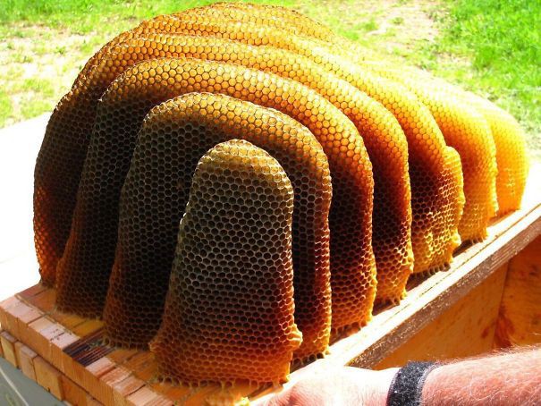 Loạt ảnh đồ ăn thức uống khiến bạn rơi vào vòng xoáy của sự hoàn hảo, xem xong đảm bảo đói - Ảnh 18.