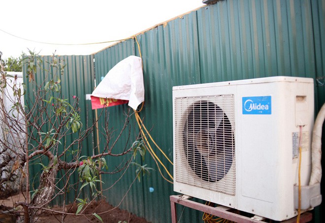H&agrave; Nội: Người d&acirc;n lắp điều h&ograve;a, bật quạt sưởi, bọc nilon chống r&eacute;t cho đ&agrave;o Tết - Ảnh 3.