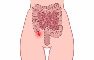 Đây là 7 cơ quan nội tạng trên người có thể cắt bỏ mà vẫn sống sót - Ảnh 6.