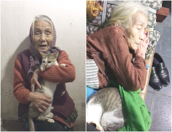Clip dễ thương: Bà nội đắp chăn ủ ấm, liên tục nhắc cháu đừng động vào nó để mèo cưng ngủ ngon - Ảnh 2.