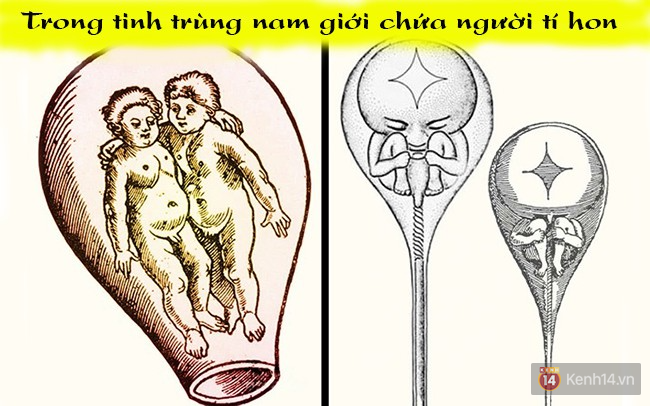 Người Trung Cổ từng tin có người tí hon sống trong tinh trùng của nam giới, ong là 1 loài chim đấy! - Ảnh 1.