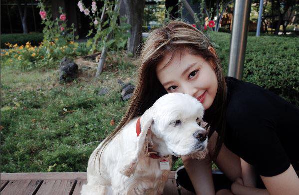 Dành cho ai chưa biết, Jennie cũng có nuôi một chú cún tên là Kai luôn đấy - Ảnh 2. Dành cho ai chưa biết, Jennie cũng có nuôi một chú cún tên là Kai luôn đấy - Ảnh 2.