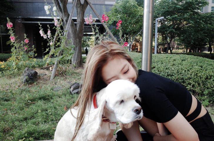 Dành cho ai chưa biết, Jennie cũng có nuôi một chú cún tên là Kai luôn đấy - Ảnh 3. Dành cho ai chưa biết, Jennie cũng có nuôi một chú cún tên là Kai luôn đấy - Ảnh 3.