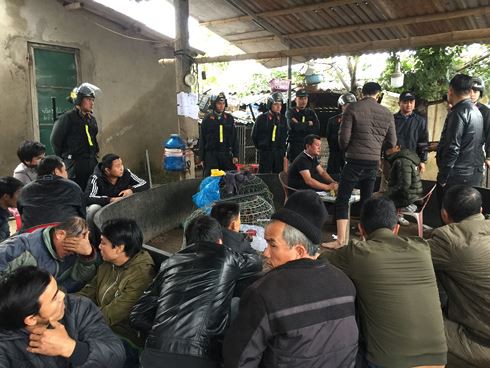 Cảnh sát đột kích trường gà núp trong quán cà phê ở Quảng Trị - Ảnh 1.