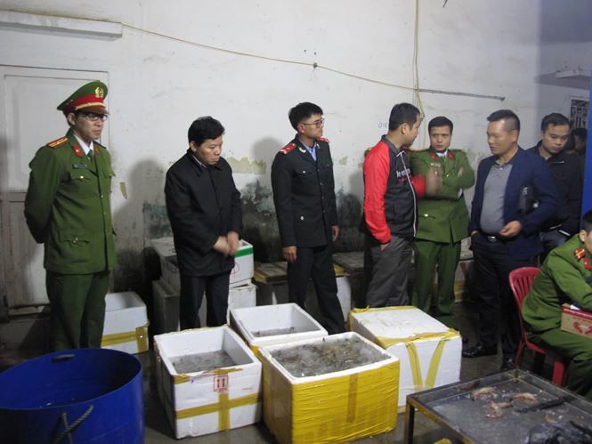 Tôm chết được bơm tạp chất tuồn lên bàn nhậu - Ảnh 1. Tôm chết được bơm tạp chất tuồn lên bàn nhậu - Ảnh 1.