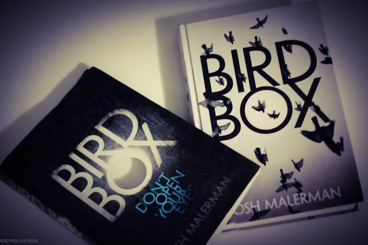 Che mắt cũng có thể nhìn ra 9 chi tiết thú vị được cài cắm trong Bird Box - Ảnh 1. Che mắt cũng có thể nhìn ra 9 chi tiết thú vị được cài cắm trong Bird Box - Ảnh 1.