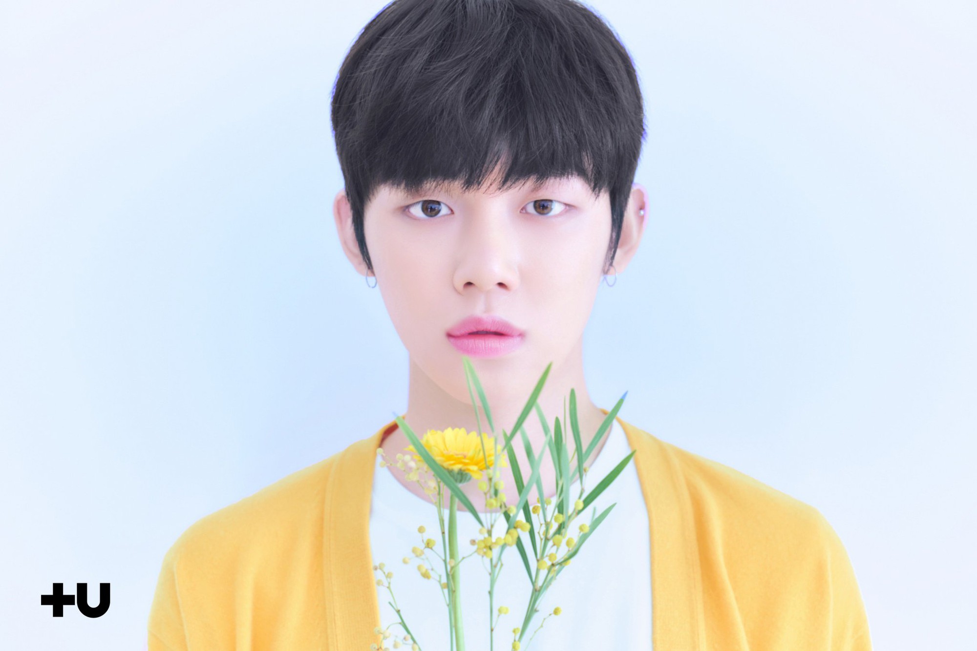 Thành viên đầu tiên của “em trai BTS” vừa lộ diện đã lọt ngay top trend toàn thế giới! - Ảnh 1. Thành viên đầu tiên của “em trai BTS” vừa lộ diện đã lọt ngay top trend toàn thế giới! - Ảnh 1.
