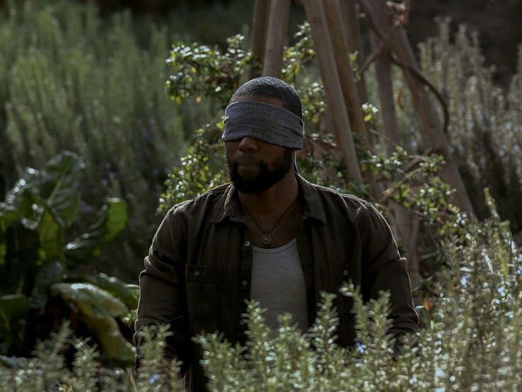 Che mắt cũng có thể nhìn ra 9 chi tiết thú vị được cài cắm trong Bird Box - Ảnh 4. Che mắt cũng có thể nhìn ra 9 chi tiết thú vị được cài cắm trong Bird Box - Ảnh 4.