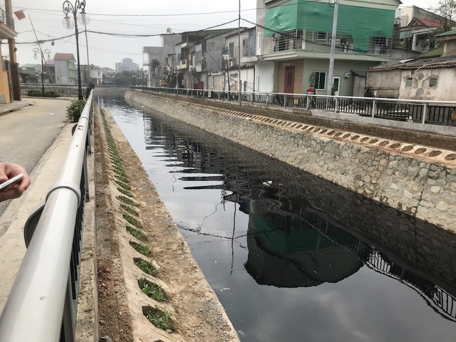 Cá chết hàng loạt chưa rõ nguyên do tại kênh giữa TP Vinh - Ảnh 1.