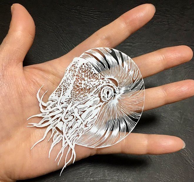 C&oacute; thể bạn kh&ocirc;ng tin nhưng đ&acirc;y l&agrave; những t&aacute;c phẩm cắt giấy tỉ mỉ tới từng milimet của nghệ nh&acirc;n người Nhật - Ảnh 12.