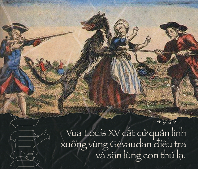 Quái thú ăn thịt người vùng Gévaudan: Nỗi hãi kinh của những người dân Pháp hồi thế kỷ 18 - Hình ảnh 3.