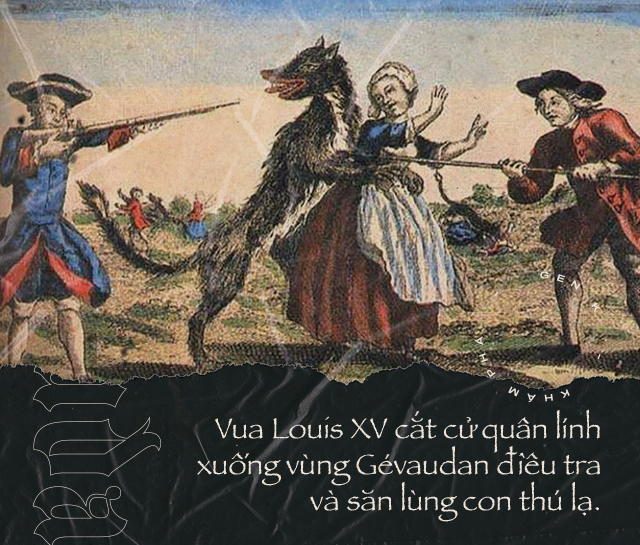 Quái thú ăn thịt người vùng Gévaudan: Nỗi kinh hãi của người dân Pháp hồi thế kỷ 18 - Ảnh 3.