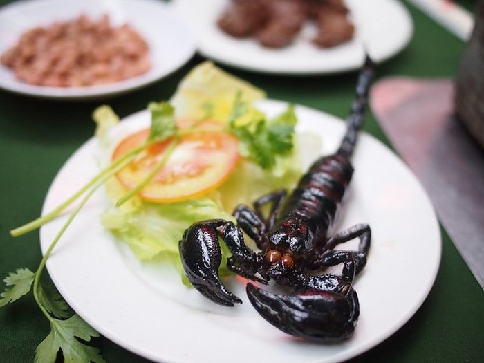 Đặc sản v&ugrave;ng Bảy N&uacute;i (An Giang) khiến nhiều người phải lấy hết can đảm mới d&aacute;m nếm thử - Ảnh 2.