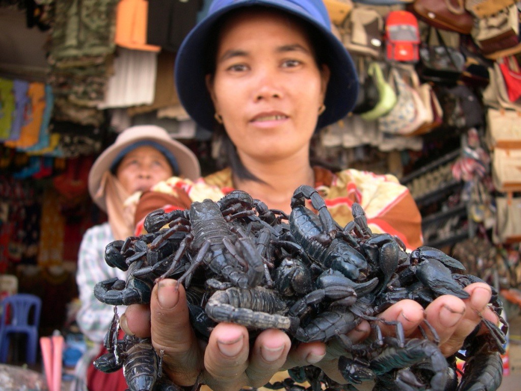 Вьетнамцы и китайцы. Насекомые Вьетнама. Вьетнамский рынок насекомых. Самые большие насекомые Вьетнама.