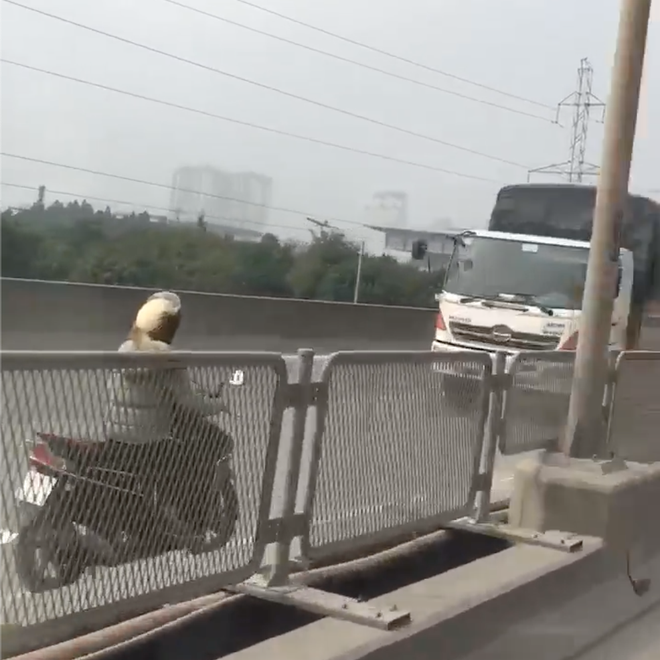 Clip sốc: Nữ ninja liều lĩnh lao vun vút ngược chiều cao tốc ở Hà Nội khiến nhiều người kinh hãi - Ảnh 2.