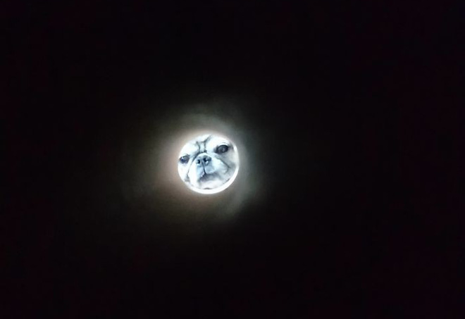 Trào lưu selfie ngố tàu nhất lịch sử Internet: Đua nhau dùng giấy vệ sinh để... biến thành mặt trăng - Ảnh 3.