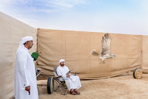 Huấn luyện chim ưng: Nghề kiếm ra hàng triệu USD ở Trung Đông - Ảnh 5.