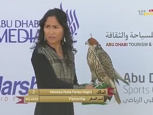 Huấn luyện chim ưng: Nghề kiếm ra hàng triệu USD ở Trung Đông - Ảnh 10.