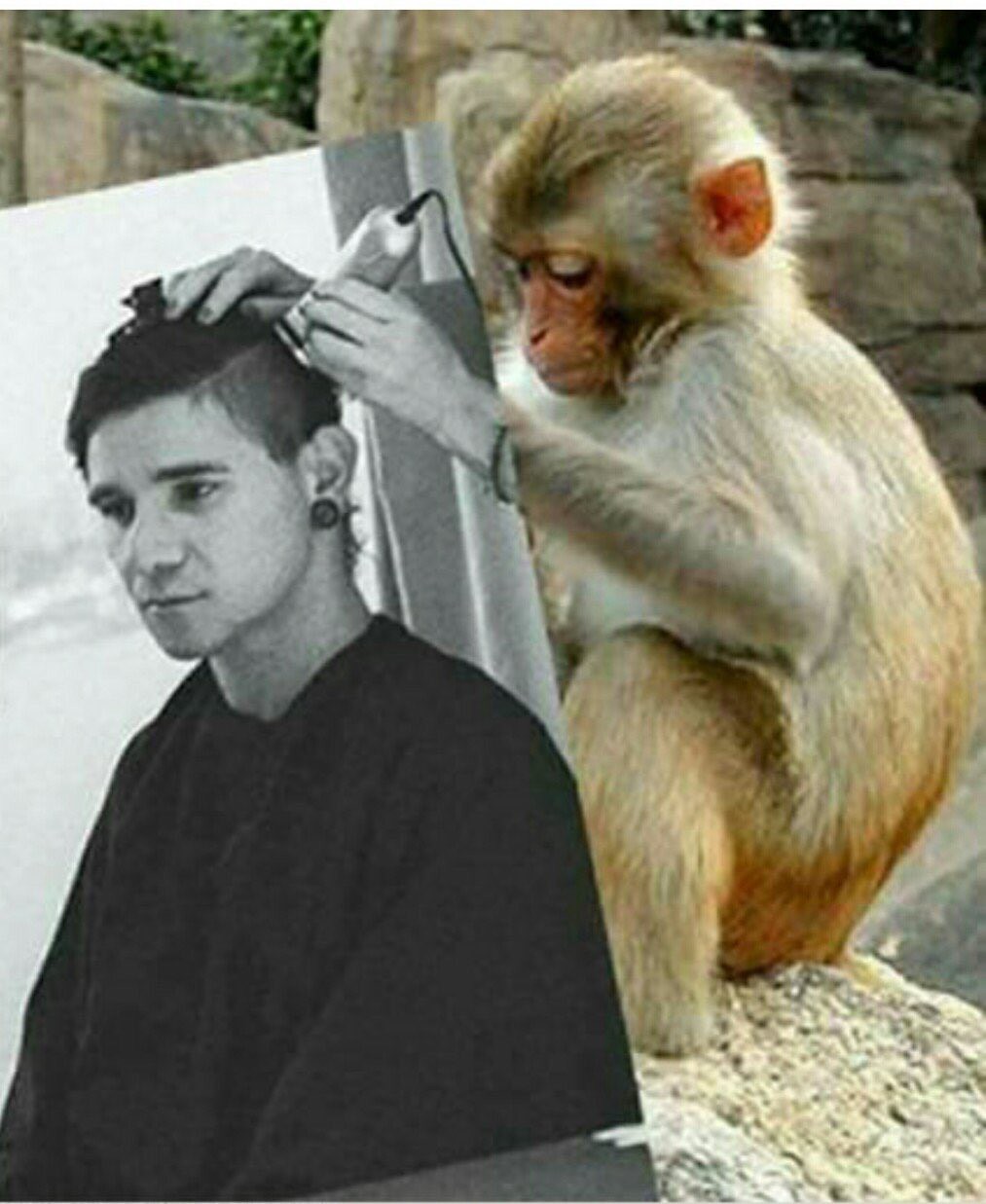 Meme b&oacute;p cổ Sakuke: D&acirc;n mạng Nhật giận dữ, Internet được v&ocirc; số tr&agrave;ng cười - Ảnh 5.