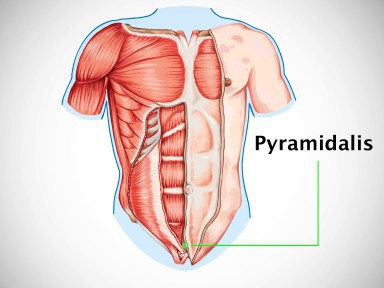 9 bộ phận cơ thể giờ đây con người không cần dùng đến nữa, đặc biệt nhất là cái cuối cùng - Ảnh 7.