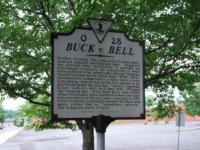 Chỉ số IQ ho&aacute; ra lại c&oacute; một lịch sử đen tối v&agrave; vướng v&agrave;o nhiều tranh c&atilde;i m&agrave; &iacute;t ai biết đến - Ảnh 3.