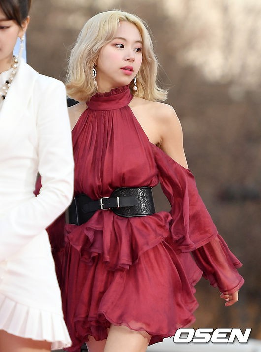 Hơn 80 sao Hàn đổ bộ thảm đỏ Gaon 2019: Tzuyu xuất sắc, nữ thần lai và mỹ nhân TWICE gây chú ý vì vòng 1 đốt mắt - Ảnh 10.