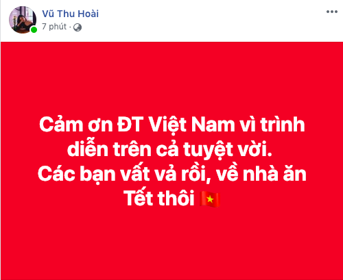 Fan hâm mộ xúc động trước nỗ lực của đội tuyển Việt Nam: Chiến đấu đủ rồi, về nhà ăn Tết thôi các chàng trai! - Ảnh 5.