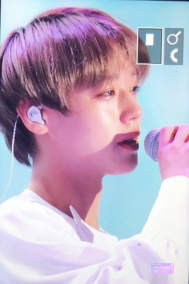 Fan nhói lòng trước hình ảnh Wanna One khóc hết nước mắt trong concert chia tay: Cảm ơn vì đã cùng nhau đi đến phút giây này! - Ảnh 6.