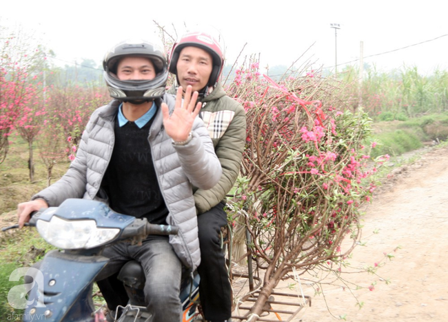 Cuộc sống bình dị của nông dân trồng đào tại Bắc Ninh sau sự cố 150 cây bị phá gây chấn động - Ảnh 10.