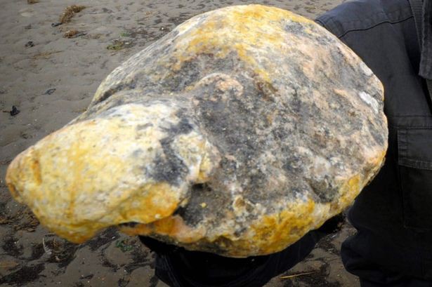 Lạ kỳ hòn đá triệu năm mang hình cụ rùa