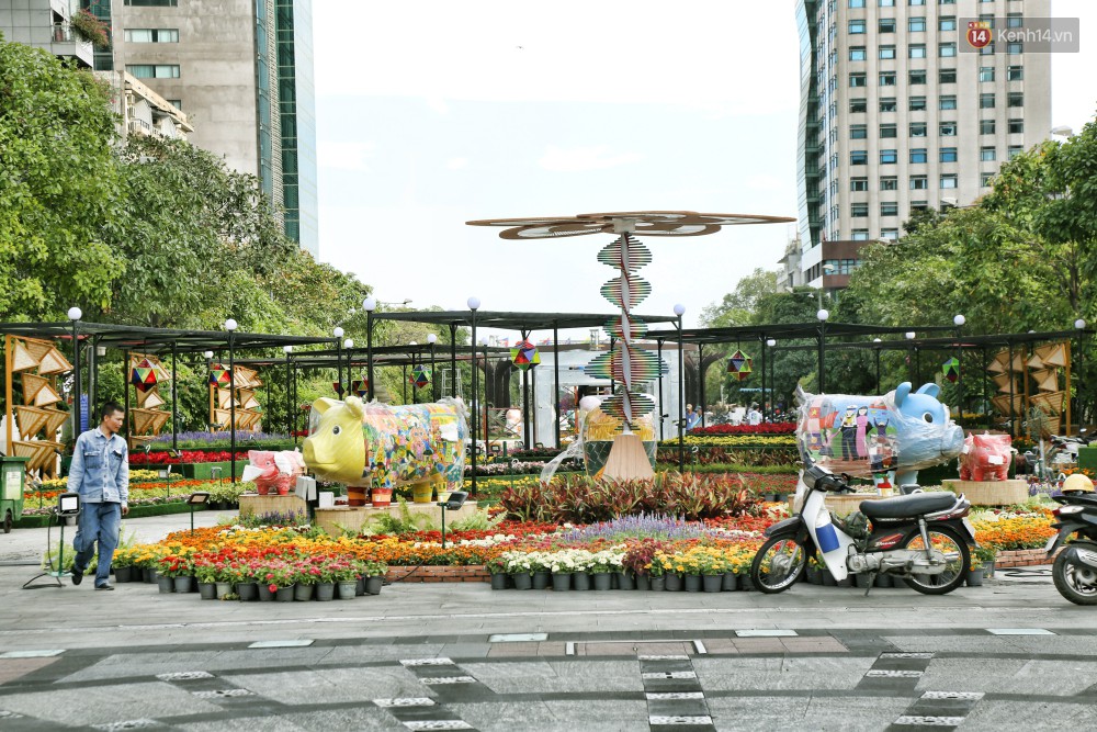 Cận cảnh đường hoa Nguyễn Huệ ở Sài Gòn trước giờ khai mạc đón Tết Kỷ Hợi 2019 - Ảnh 16.