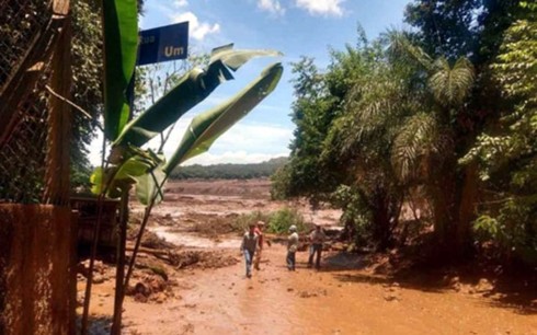 Vụ vỡ đập ở Brazil: Nhiều gia đình nuôi hi vọng tìm thấy người thân - Ảnh 1.