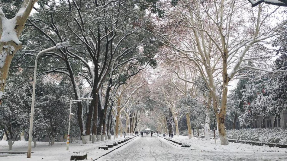 Tuyết rơi trắng trời tạo nên khung cảnh đẹp nao lòng tại các trường đại học Photo-1-15466080649751347536075