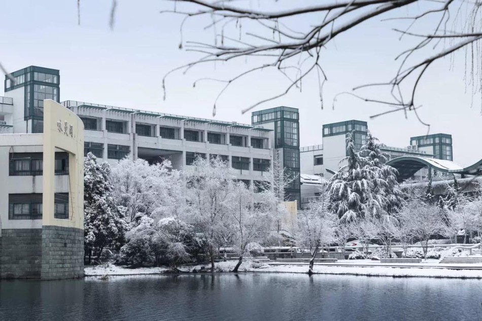 Tuyết rơi trắng trời tạo nên khung cảnh đẹp nao lòng tại các trường đại học Photo-1-1546608175473269401765