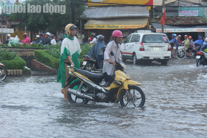 Bạc Liêu ngập kỷ lục, Cà Mau bè cá bị trôi do bão số 1 - Ảnh 5. Bạc Liêu ngập kỷ lục, Cà Mau bè cá bị trôi do bão số 1 - Ảnh 5.