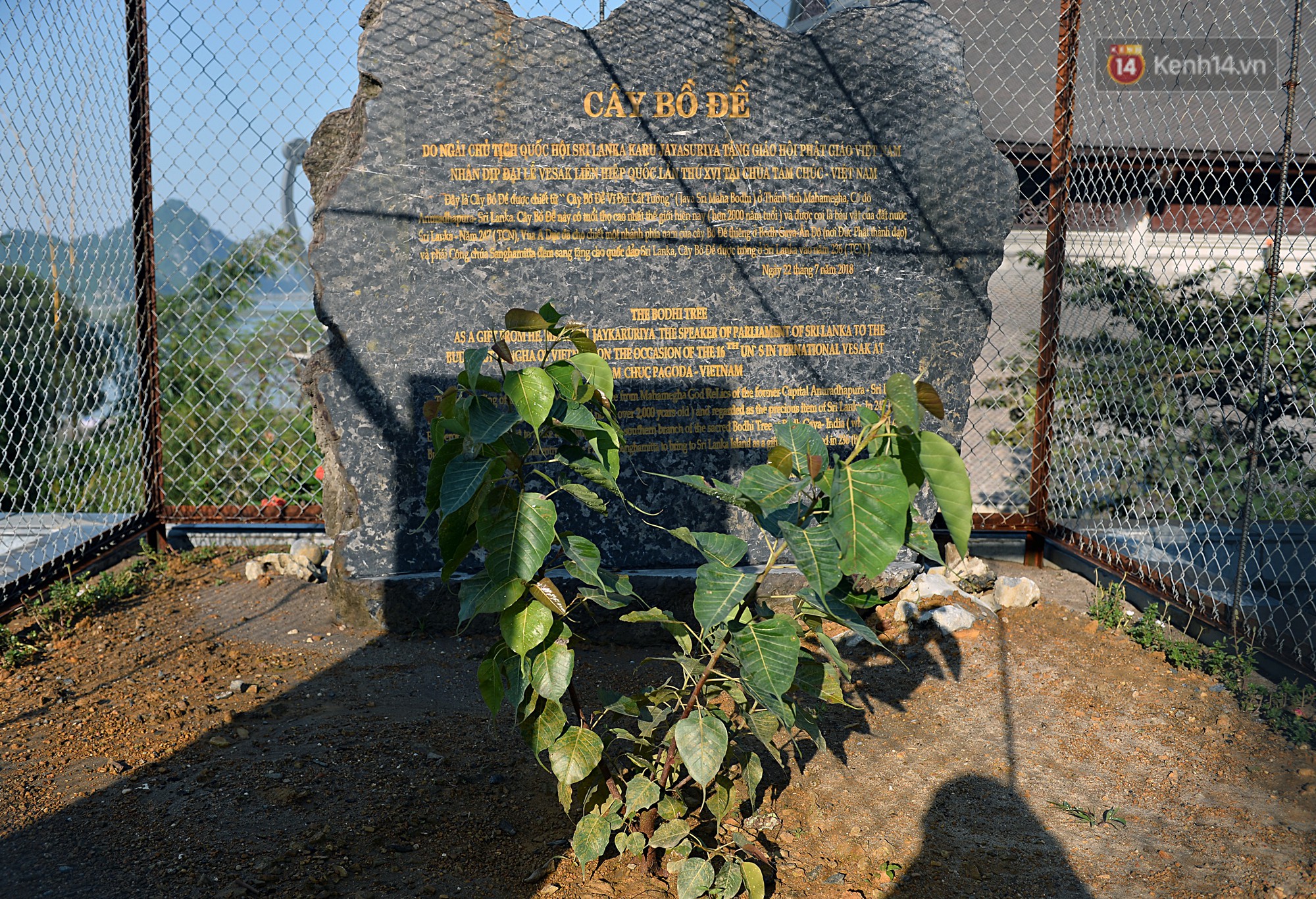 Cận cảnh ngôi chùa lớn nhất Việt Nam - Nơi sẽ đặt báu vật thiên thạch mặt trăng 600.000 USD được đấu giá từ Mỹ - Ảnh 20. Cận cảnh ngôi chùa lớn nhất Việt Nam - Nơi sẽ đặt báu vật thiên thạch mặt trăng 600.000 USD được đấu giá từ Mỹ - Ảnh 20.