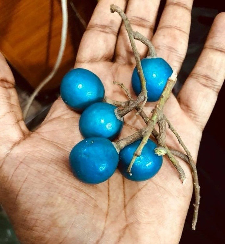 Loạt ảnh từ ngộ nghĩnh đến kinh dị khiến ta nhận ra thế giới này không hề đơn giản - Ảnh 2. Loạt ảnh từ ngộ nghĩnh đến kinh dị khiến ta nhận ra thế giới này không hề đơn giản - Ảnh 2.