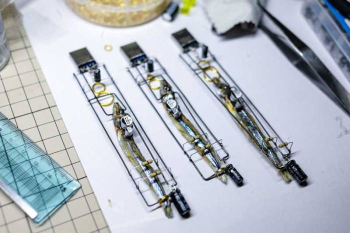 Nháºt Bản thứ gì cÅ©ng dá»: USB lấy nguyên cả thân con cá là m chip, dùng não cá Äá» lưu dữ liá»u - Ảnh 2.
