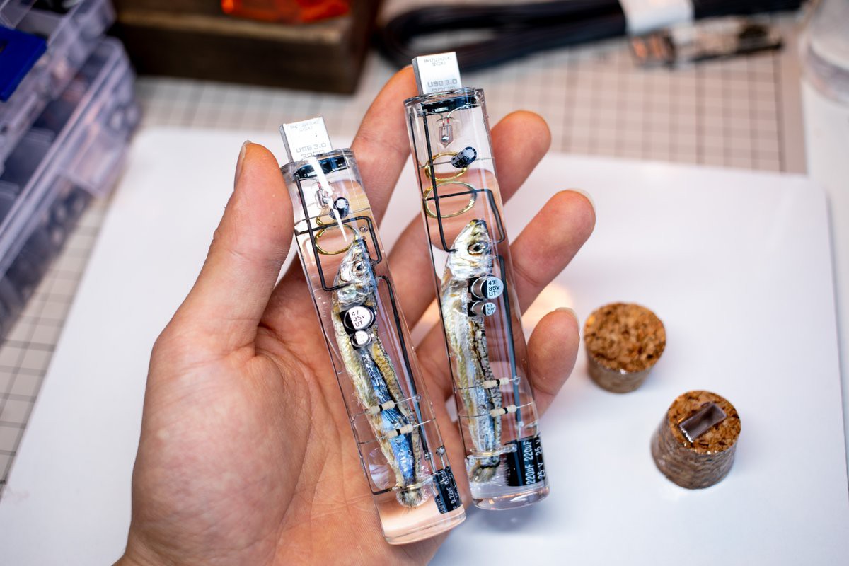 Nháºt Bản thứ gì cÅ©ng dá»: USB lấy nguyên cả thân con cá là m chip, dùng não cá Äá» lưu dữ liá»u - Ảnh 1.