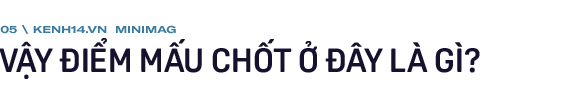 Bốn nấc thang của cuộc đời: Hoá ra, ở tuổi 20 - 30, chúng ta thường mắc kẹt ở nấc thang số 2  - Ảnh 11.